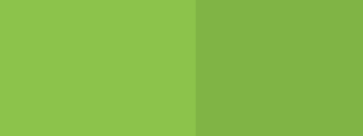 bg_home3_1.jpg